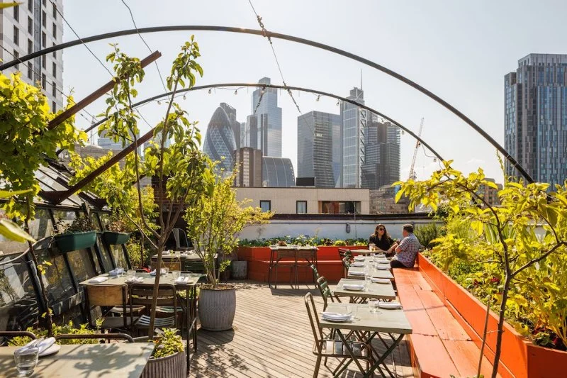 Why Rooftop Restaurants Are Hidden Gems: A Unique Dining Experience