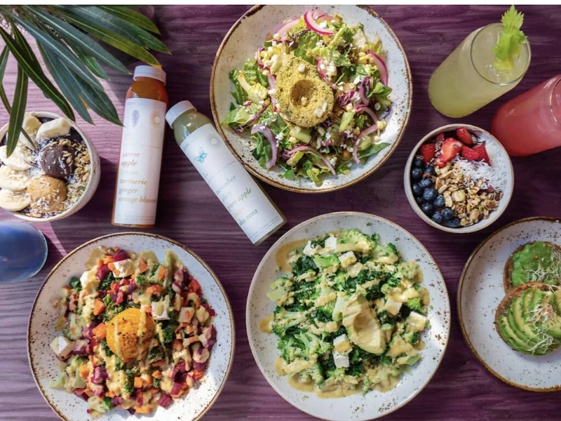 Vegan Restaurants That Will Make You Fall in Love with Food