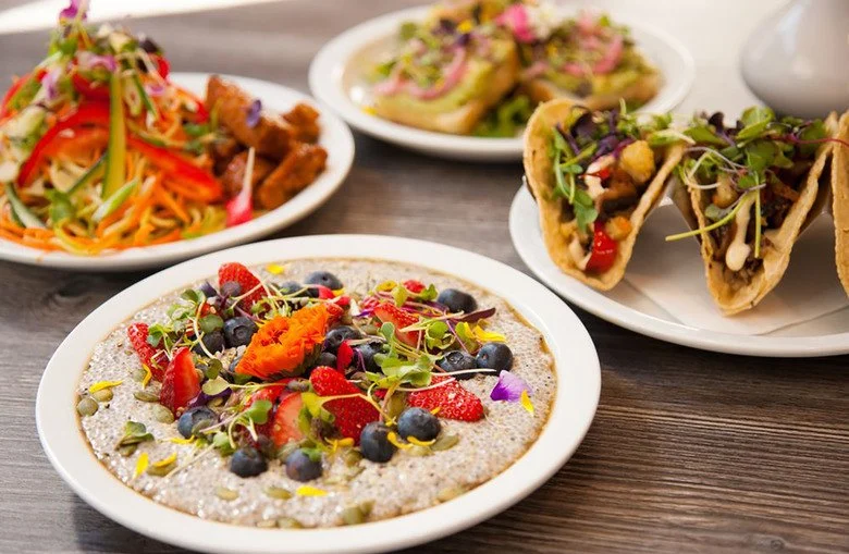 Vegan Restaurants That Are Worth the Wait in the US – Must-Try Spots