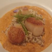 Black Creek Bistro ico
