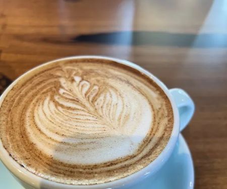 Discovery Cafe