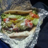 Mike's mobile lunches ico