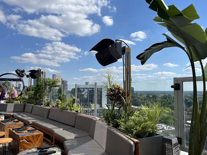 Mandrake Rooftop Picture 6