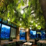 Galla Park Social