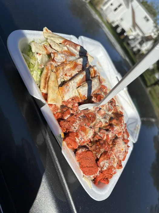 Halal New York Gyro Picture 4