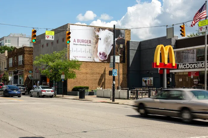 McDonald's Picture 5