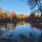 Mirror Lake Eatery
