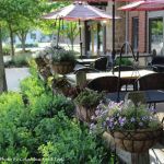 The Wine Bistro