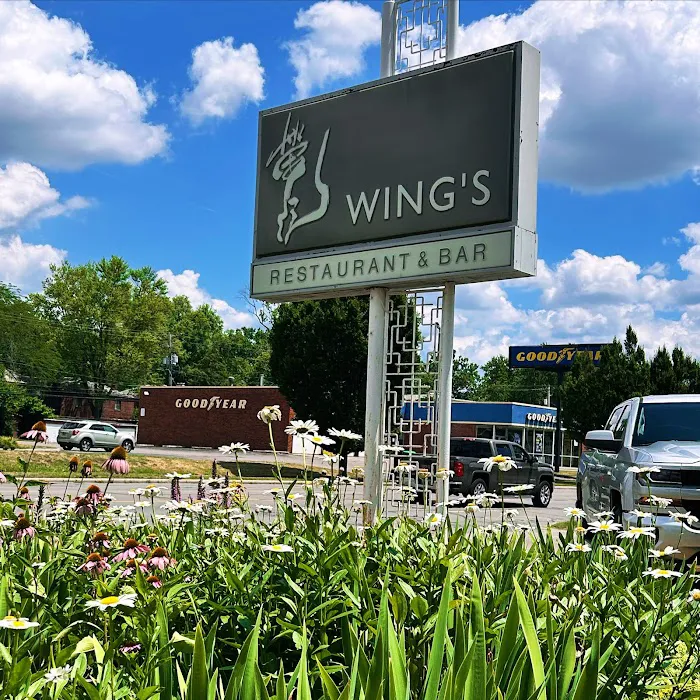 Wing's Picture 8