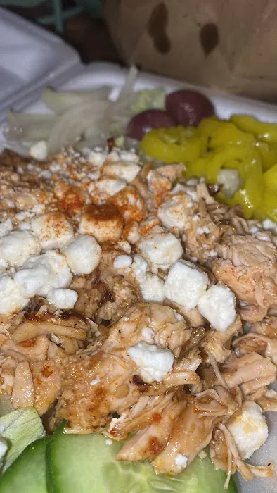 Gyro Express Picture 4