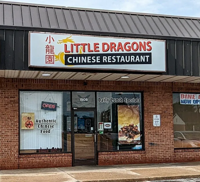 Little Dragons Picture 1
