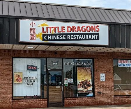 Little Dragons