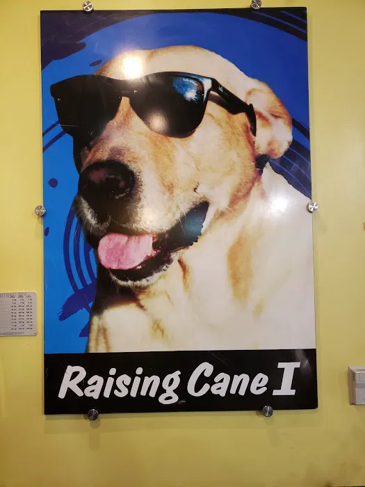 Raising Cane's Chicken Fingers Picture 2
