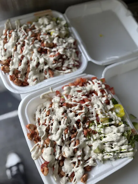 Gyro on Wheels (Halal Food) Picture 3