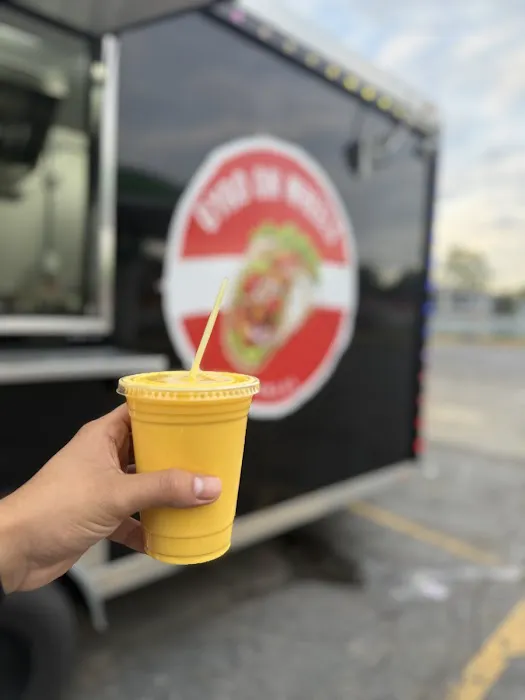 Gyro on Wheels (Halal Food) Picture 1