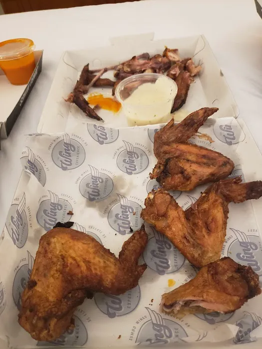 The Wing Experience Picture 7