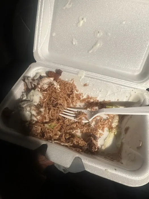 Fusion gyro (Halal food) Picture 10