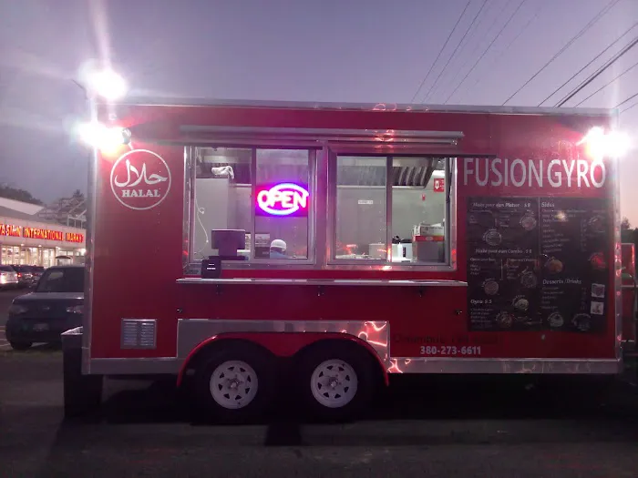 Fusion gyro (Halal food) Picture 6