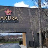 Sakura ico