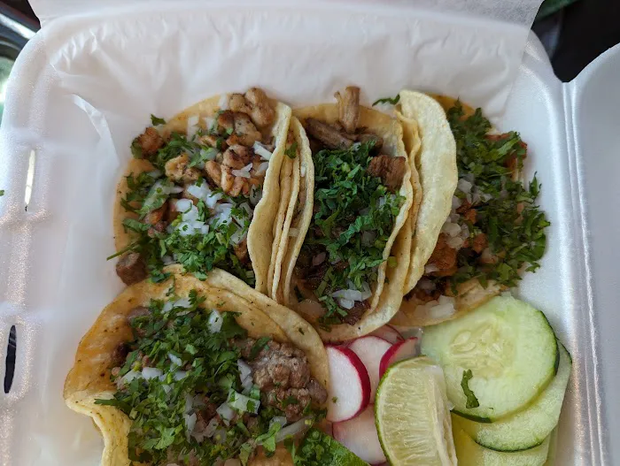 Taqueria Santa Anita Picture 4