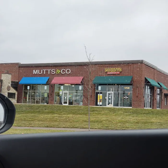 Dickey's Barbecue Pit Picture 7