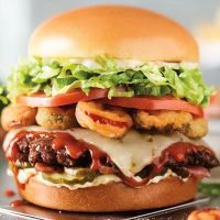 Red Robin Gourmet Burgers and Brews ico