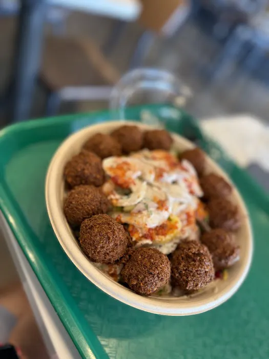 Zaytoon Mediterranean Grill Picture 3