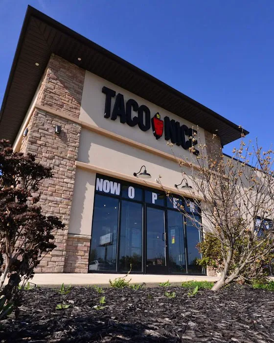 Taco Nice Picture 7
