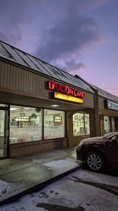 Dragon Land Chinese Restaurant Picture 2