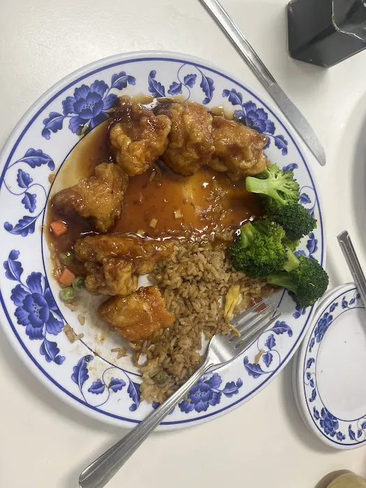 Dragon Land Chinese Restaurant Picture 6