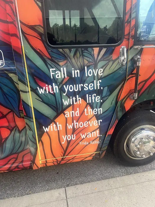 Frida Authentic Mexican Food Truck Picture 3