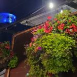 Otie's Tavern & Grill