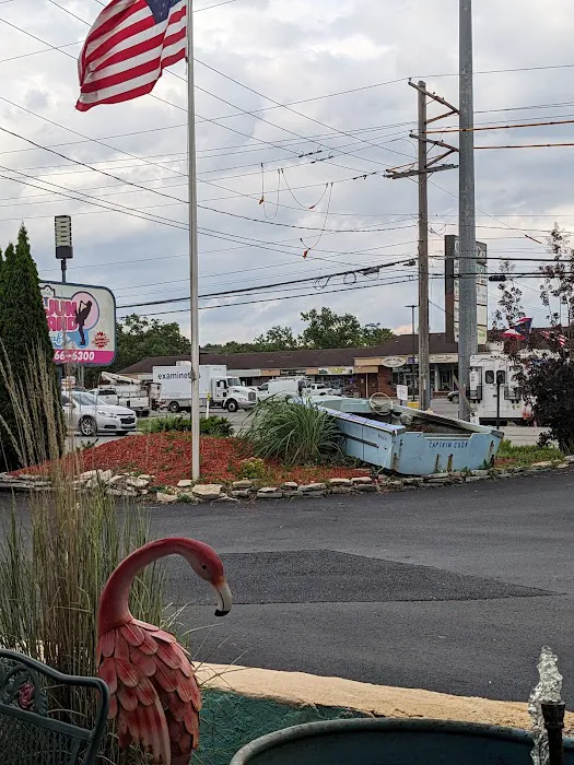 Cajun Island Picture 3