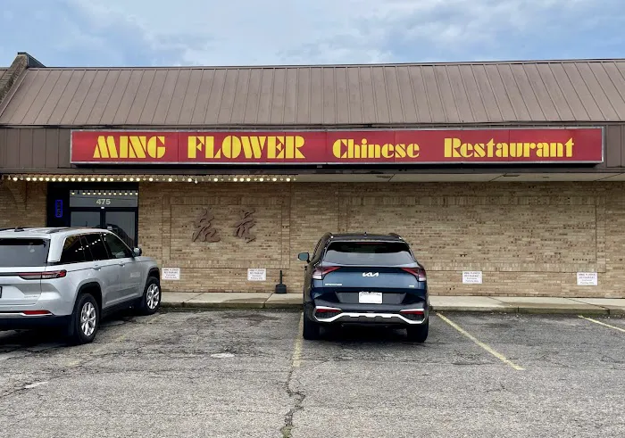 Ming Flower Chinese Restaurant Picture 4