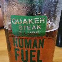 Quaker Steak & Lube ico