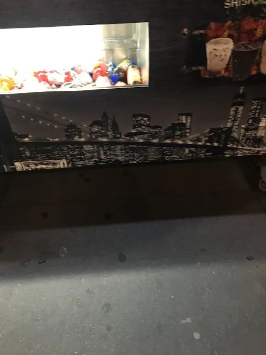 Best NYC Halal Picture 2