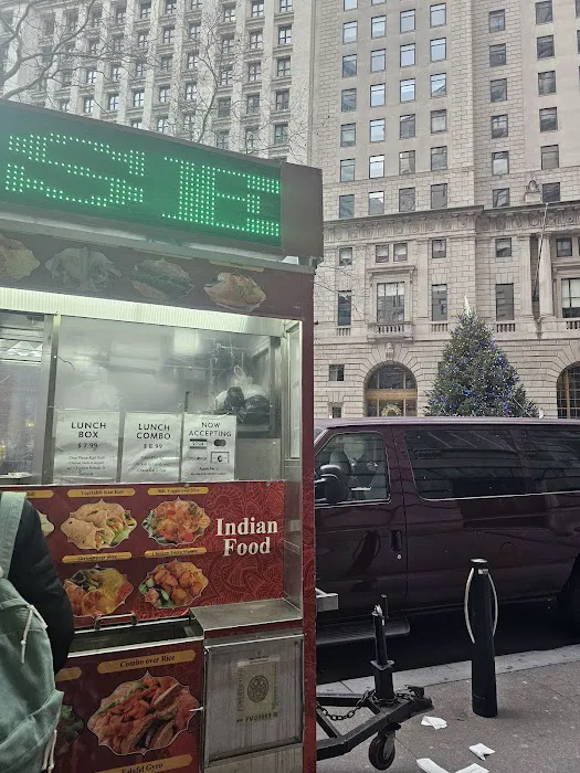 Halal Indian Food and Gyro Truck Picture 9