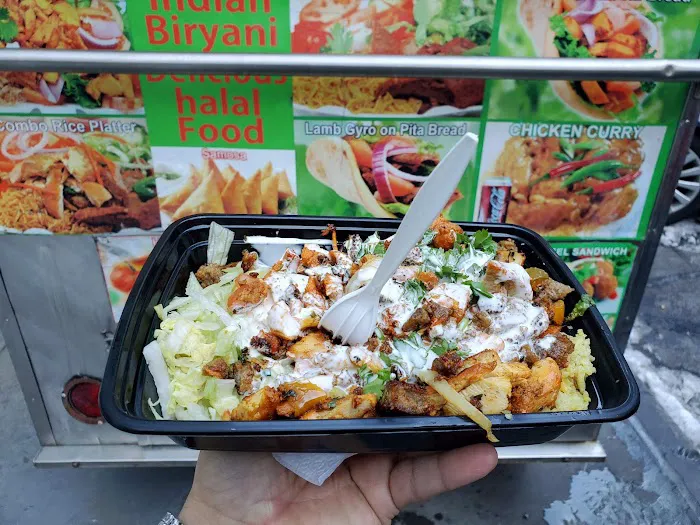 Halal Indian Food and Gyro Truck Picture 3