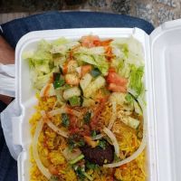 Halal Indian Food and Gyro Truck ico