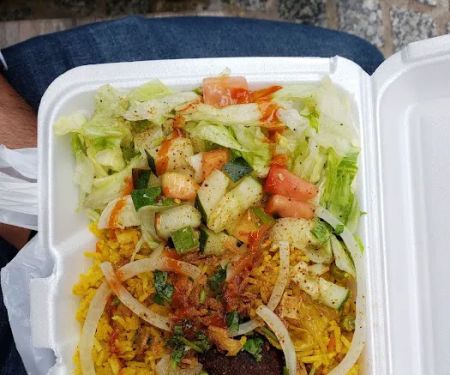 Halal Indian Food and Gyro Truck