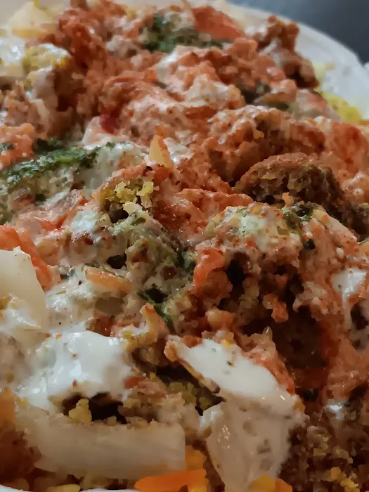 Indian Biryani Delights Halal Food Picture 8