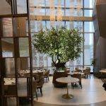 YAO Modern Cantonese Cuisine 富瑤