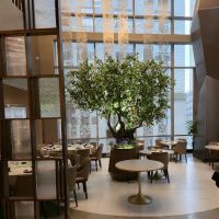YAO Modern Cantonese Cuisine 富瑤 ico