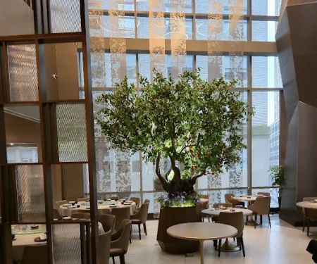 YAO Modern Cantonese Cuisine 富瑤