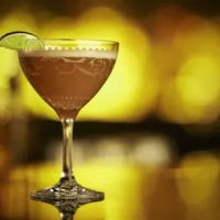The Oyster Bar ico