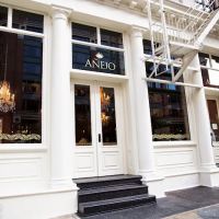 Añejo Tribeca ico