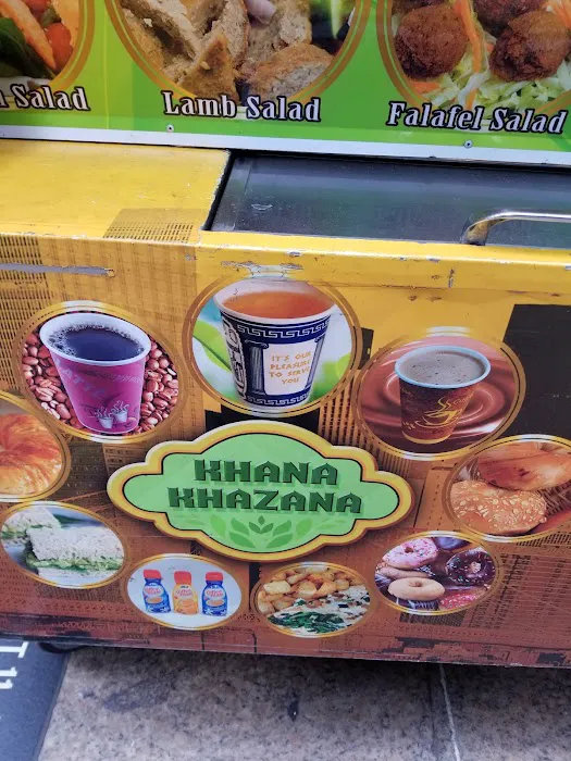 Khana Khazana Food Cart Picture 3
