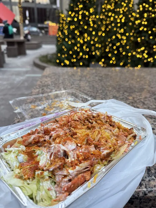 Khana Khazana Food Cart Picture 1