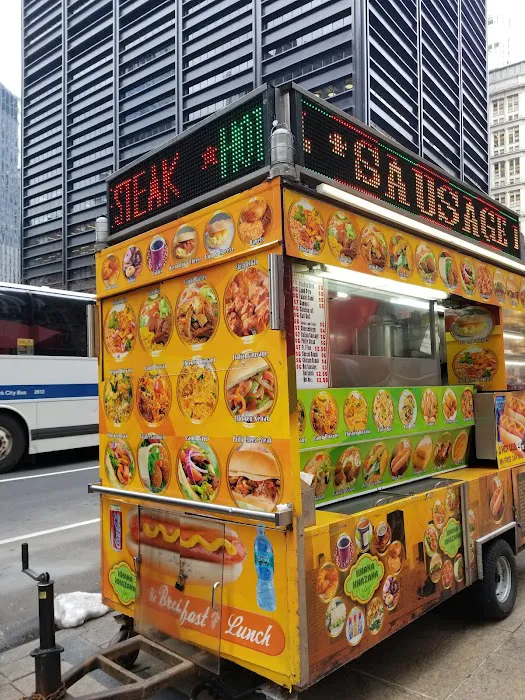 Khana Khazana Food Cart Picture 7