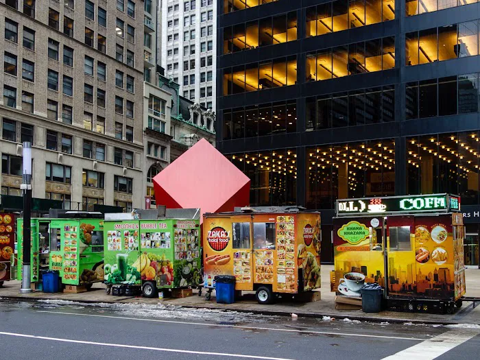 Khana Khazana Food Cart Picture 5